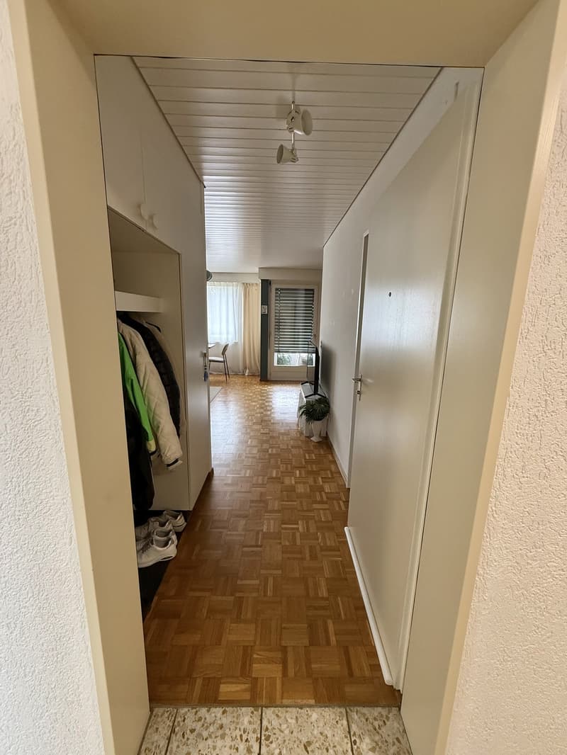 Helle grosse 1.5 Zimmerwohnung in Richterswil (1)