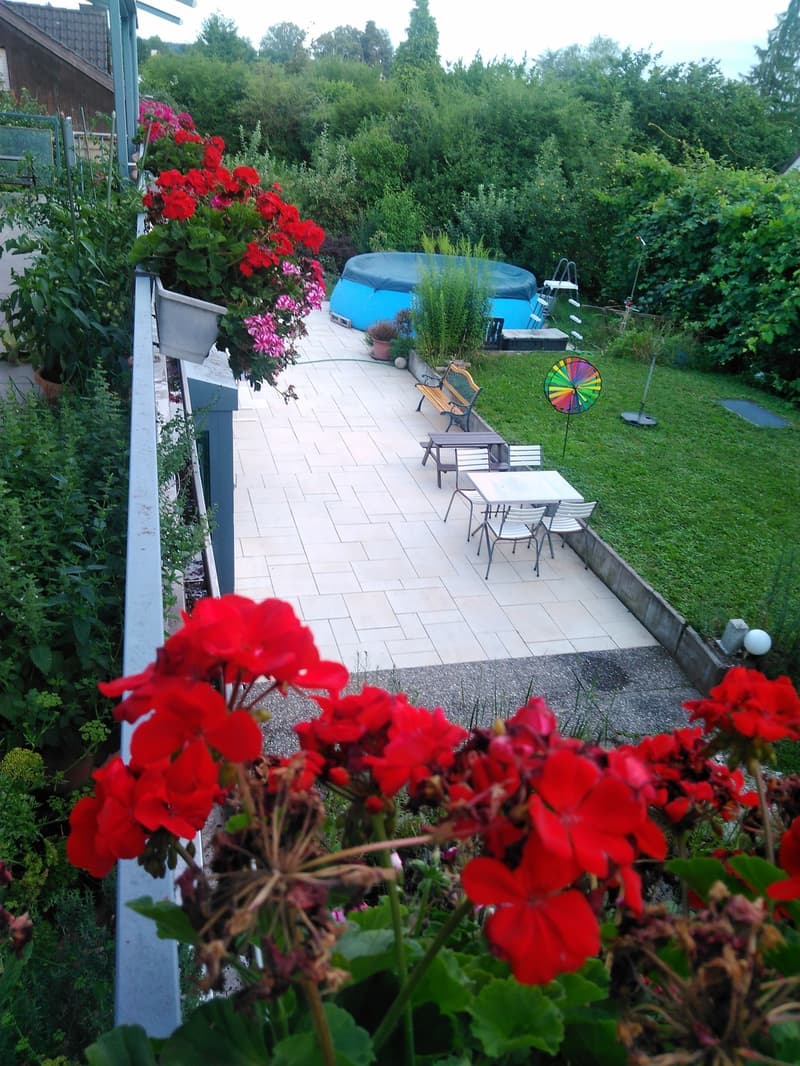 WG Zimmer, 19,5 m2 (6)