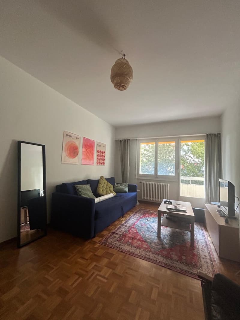 Grande chambre au centre-ville de Lausanne (3)