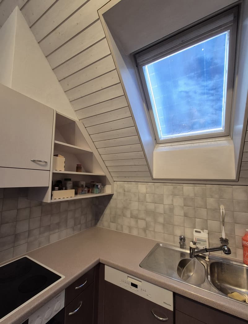 2.5 Zimmer Dachwohnung (9)