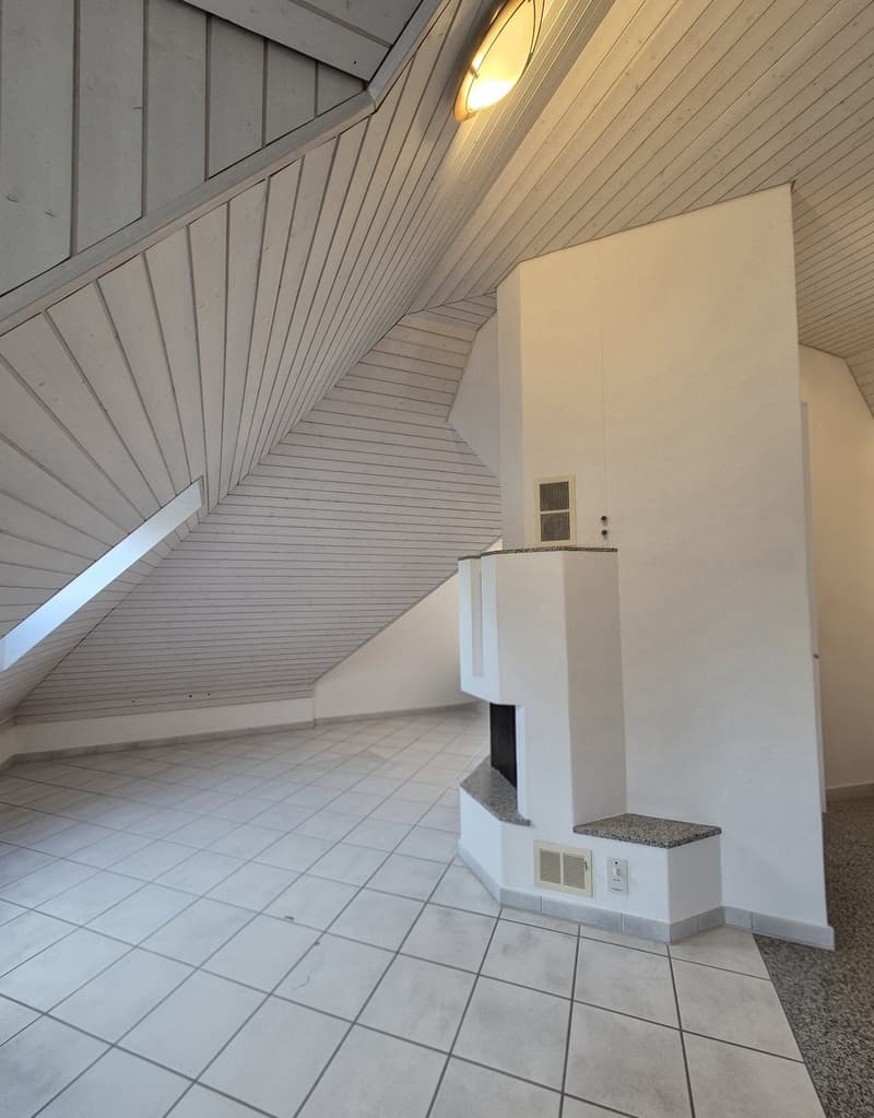 2.5 Zimmer Dachwohnung (7)