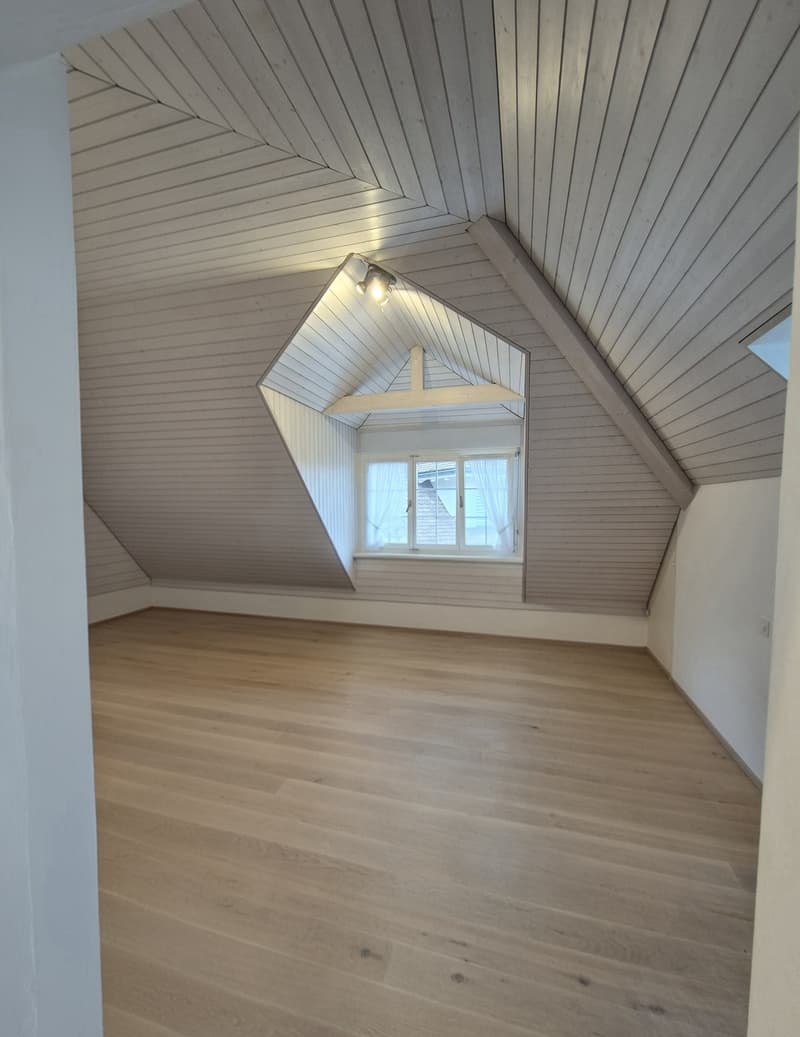 2.5 Zimmer Dachwohnung (1)