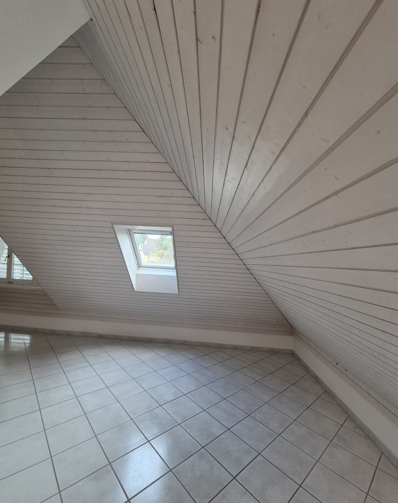 2.5 Zimmer Dachwohnung (12)