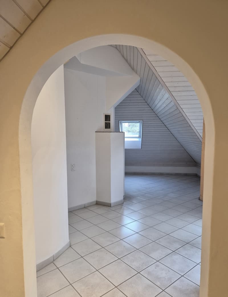 2.5 Zimmer Dachwohnung (13)