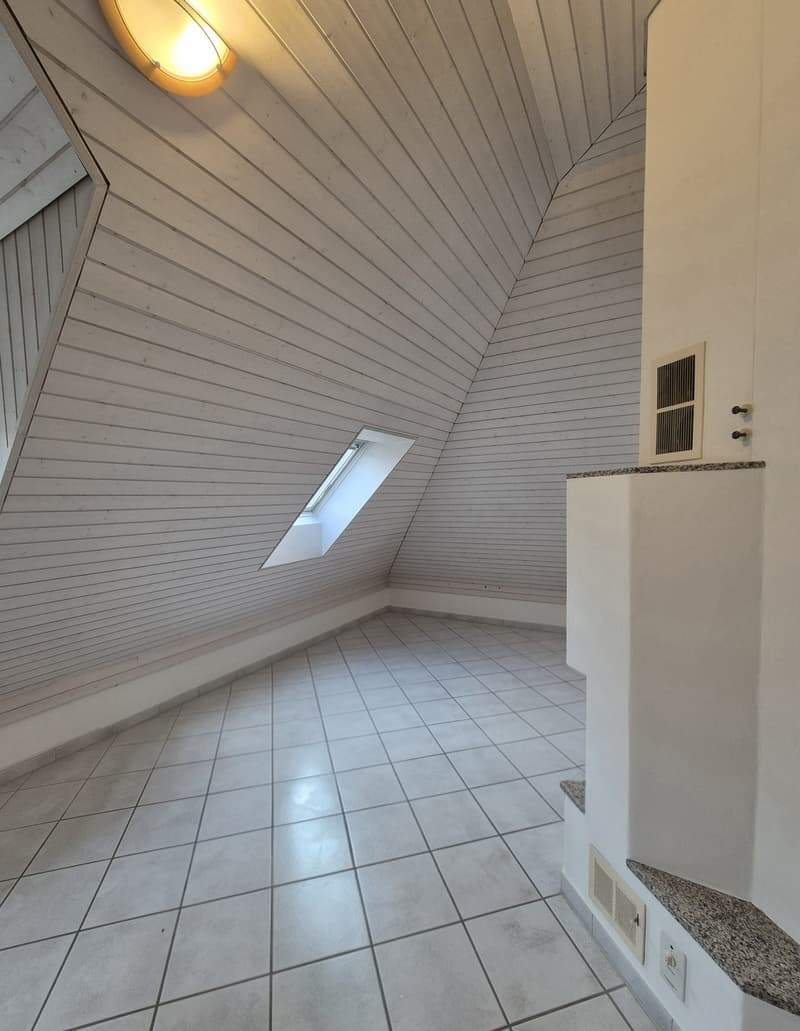 2.5 Zimmer Dachwohnung (11)