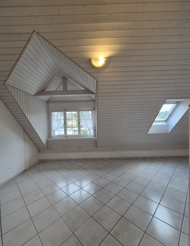 2.5 Zimmer Dachwohnung (8)