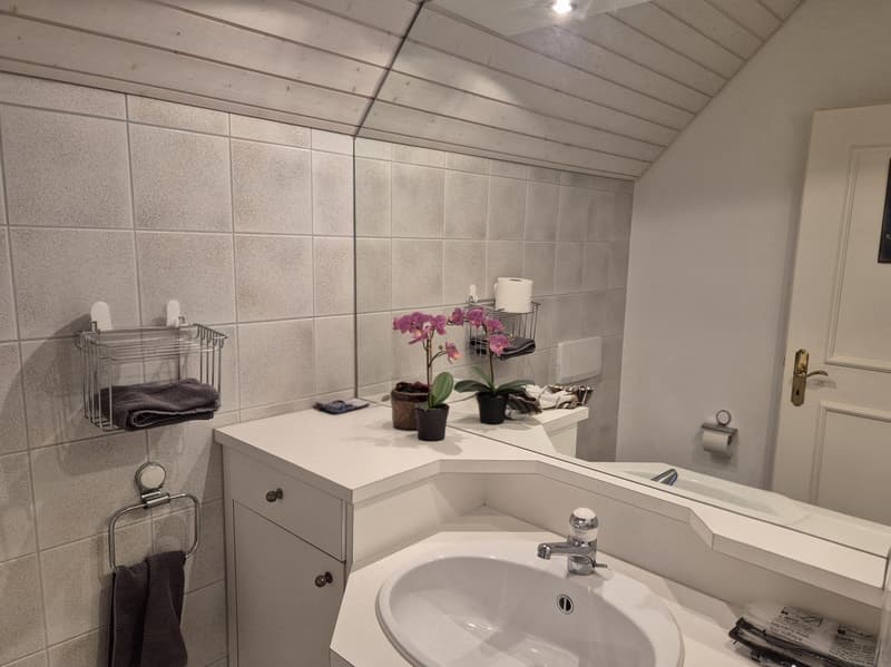 2.5 Zimmer Dachwohnung (3)