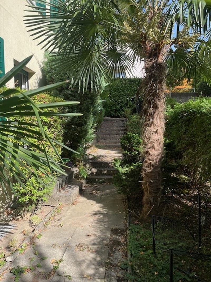 Charmante 2-Zimmer Wohnung mit Zugang zum Garten in Zürich, Kreis 7 (7)