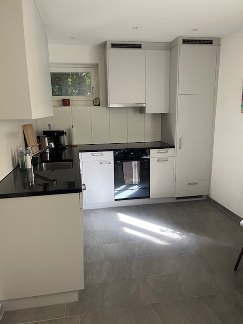 Charmante 2-Zimmer Wohnung mit Zugang zum Garten in Zürich, Kreis 7 (4)