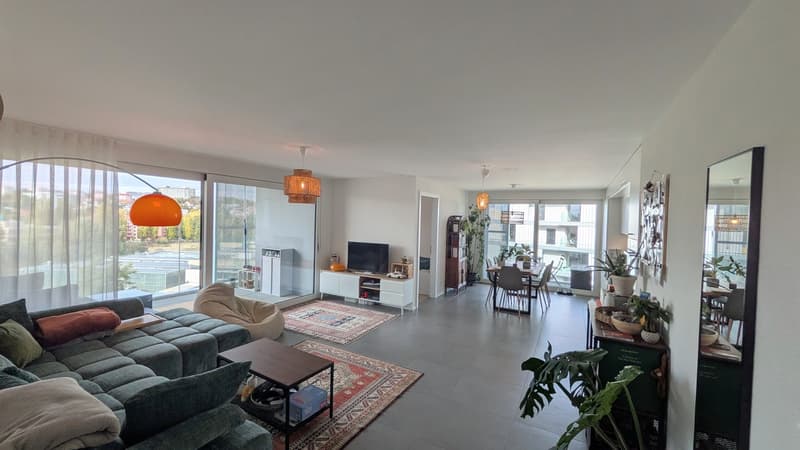 Bel appartement lumineux à Fribourg (1)