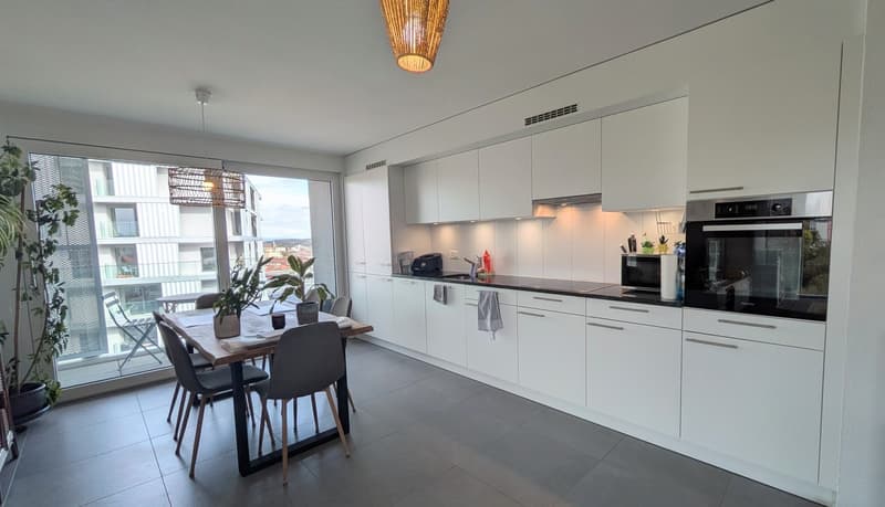 Bel appartement lumineux à Fribourg (2)