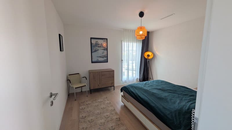 Bel appartement lumineux à Fribourg (3)