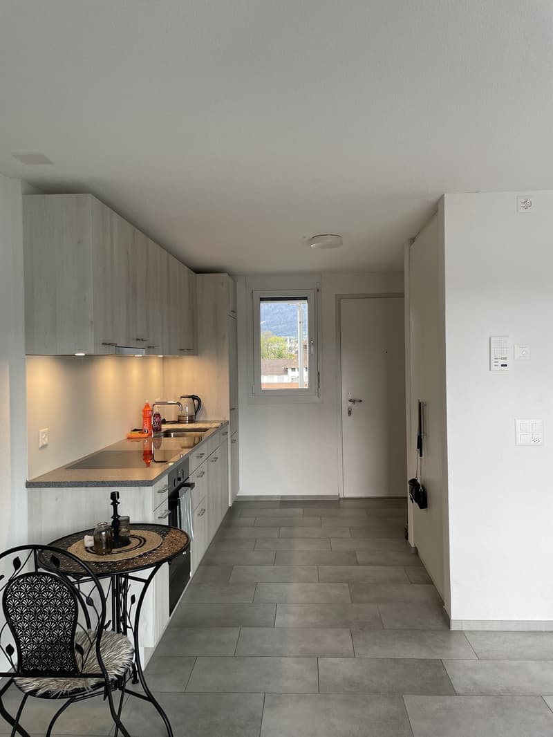 Moderne 1.5-Zimmer-Wohnung mit Balkon in Solothurn Nachmieter gesucht (1)