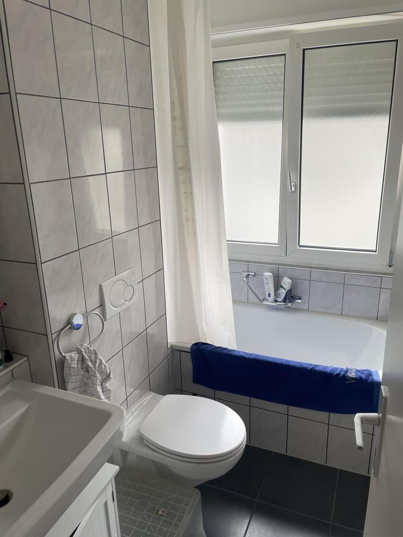 Möbliertes WG-Zimmer in Winterthur Töss (5)