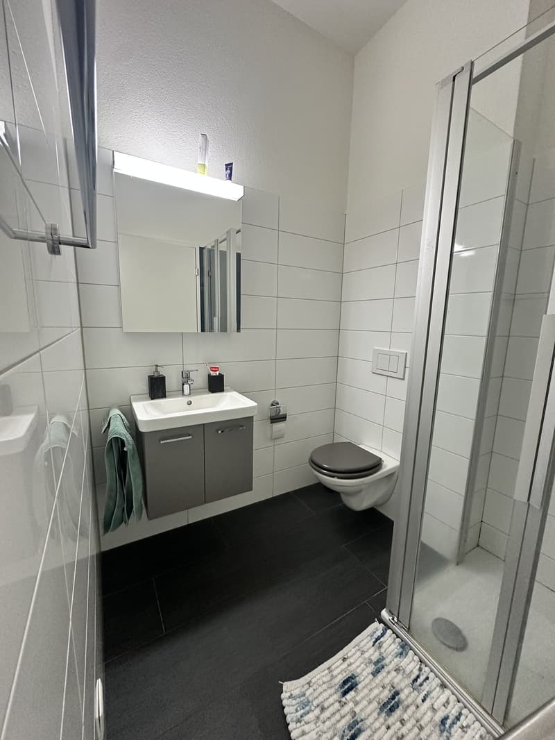 Befristet für 3 Monate! Möblierte 4.5-Zimmer-Wohnung in Uster zur Untermiete, 18.12.2026 - 27.03.2027 (10)