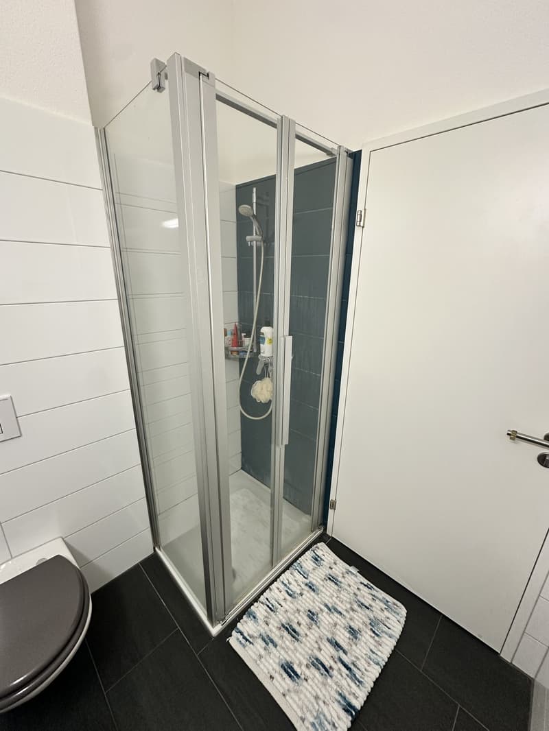 Befristet für 3 Monate! Möblierte 4.5-Zimmer-Wohnung in Uster zur Untermiete, 18.12.2026 - 27.03.2027 (11)