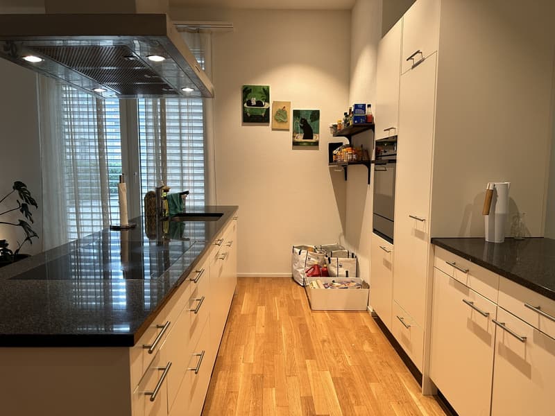 Befristet für 3 Monate! Möblierte 4.5-Zimmer-Wohnung in Uster zur Untermiete, 18.12.2026 - 27.03.2027 (4)
