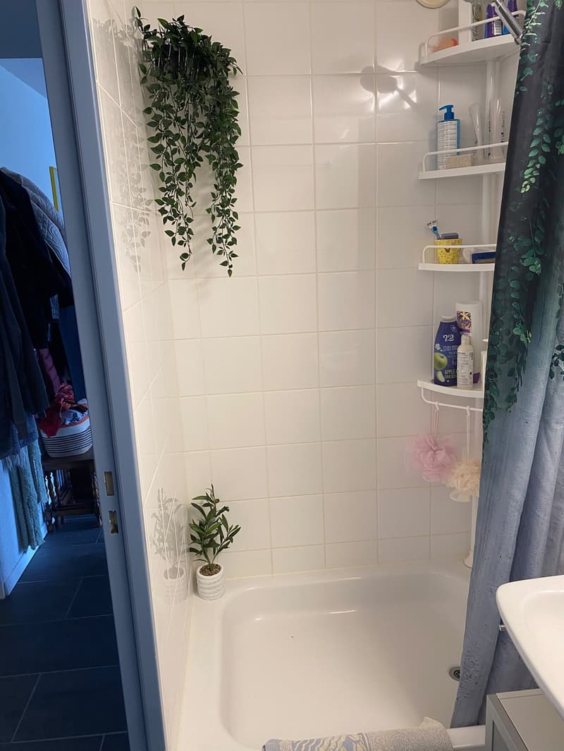 freies WG-Zimmer in 2er WG / free room in a shared apartment for 2 (10)