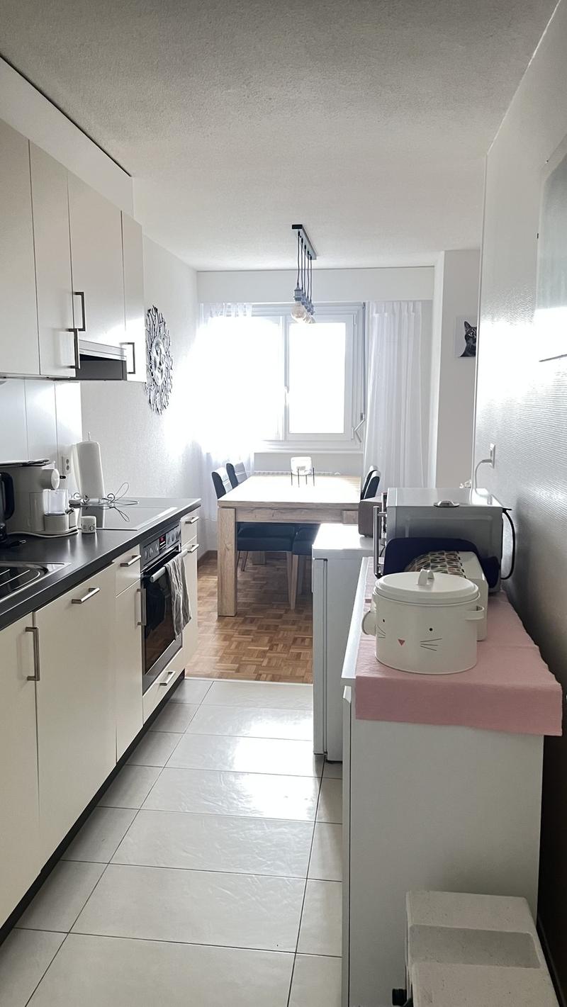 3.5 pces avec place parc (2)