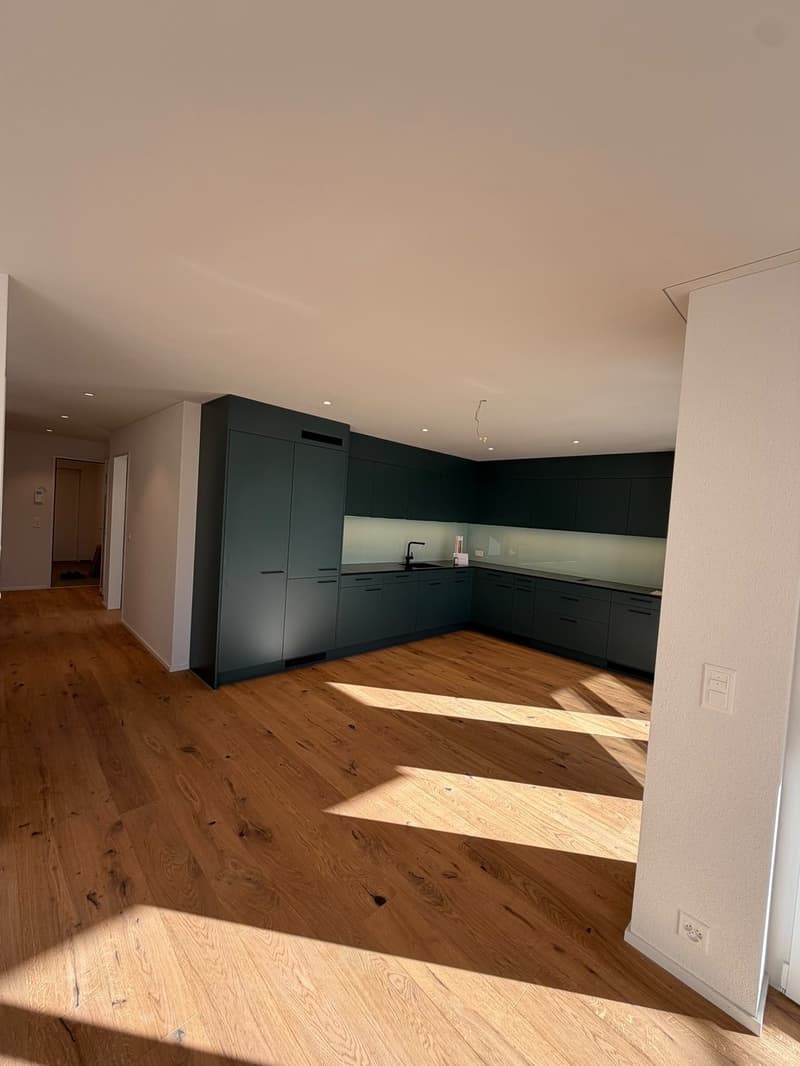 Neubauwohnung 4 1/2 Zimmer in Reinach AG zu vermieten (erstbezug) (4)