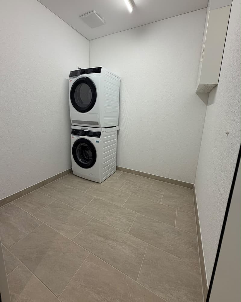 Neubauwohnung 4 1/2 Zimmer in Reinach AG zu vermieten (erstbezug) (12)