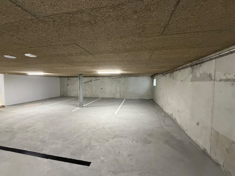 Neubauwohnung 4 1/2 Zimmer in Reinach AG zu vermieten (erstbezug) (13)