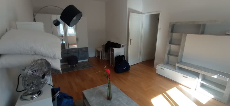 Appartement 1 ½ pièces, 1004 Lausanne (6)
