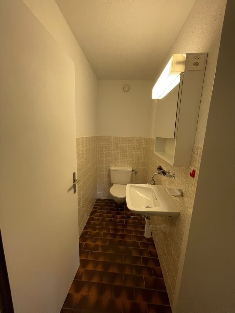 Attraktive 4.5-Zimmer-Wohnung mit grossem Balkon (5)