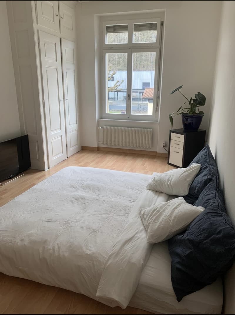 Untermiete, 3.5 Zimmer wohnung ab 1. Dezember bis mitte März 2027, mögliche Verlängerung (4)