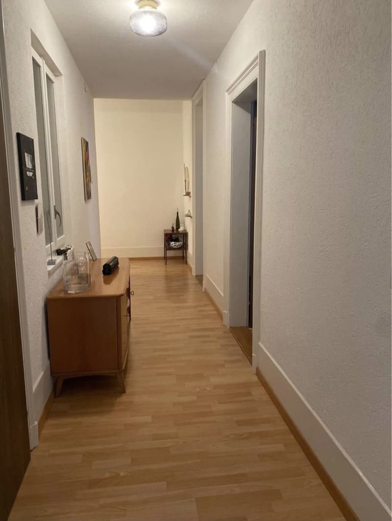 Untermiete, 3.5 Zimmer wohnung ab 1. Dezember bis mitte März 2027, mögliche Verlängerung (10)