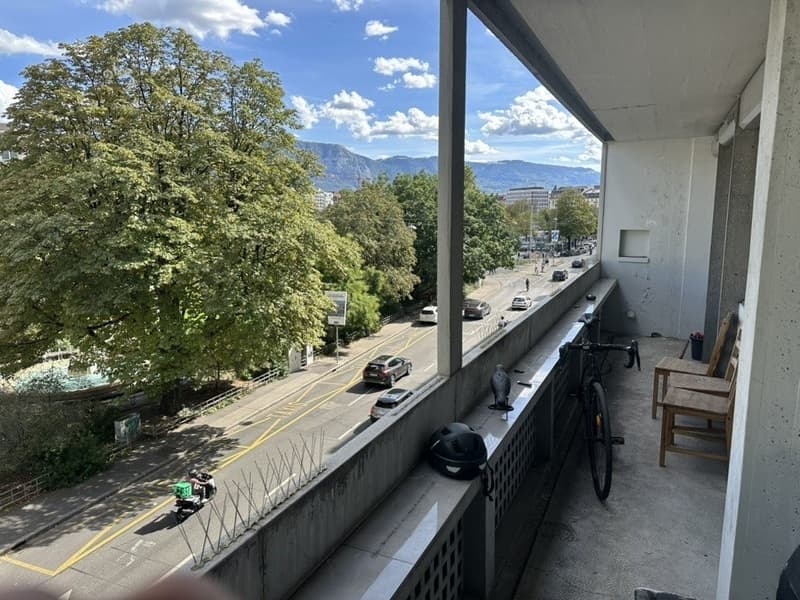 Lease takeover in Plainpalais from 1 December: 3 bedrooms, CHF 3'121/month (2)