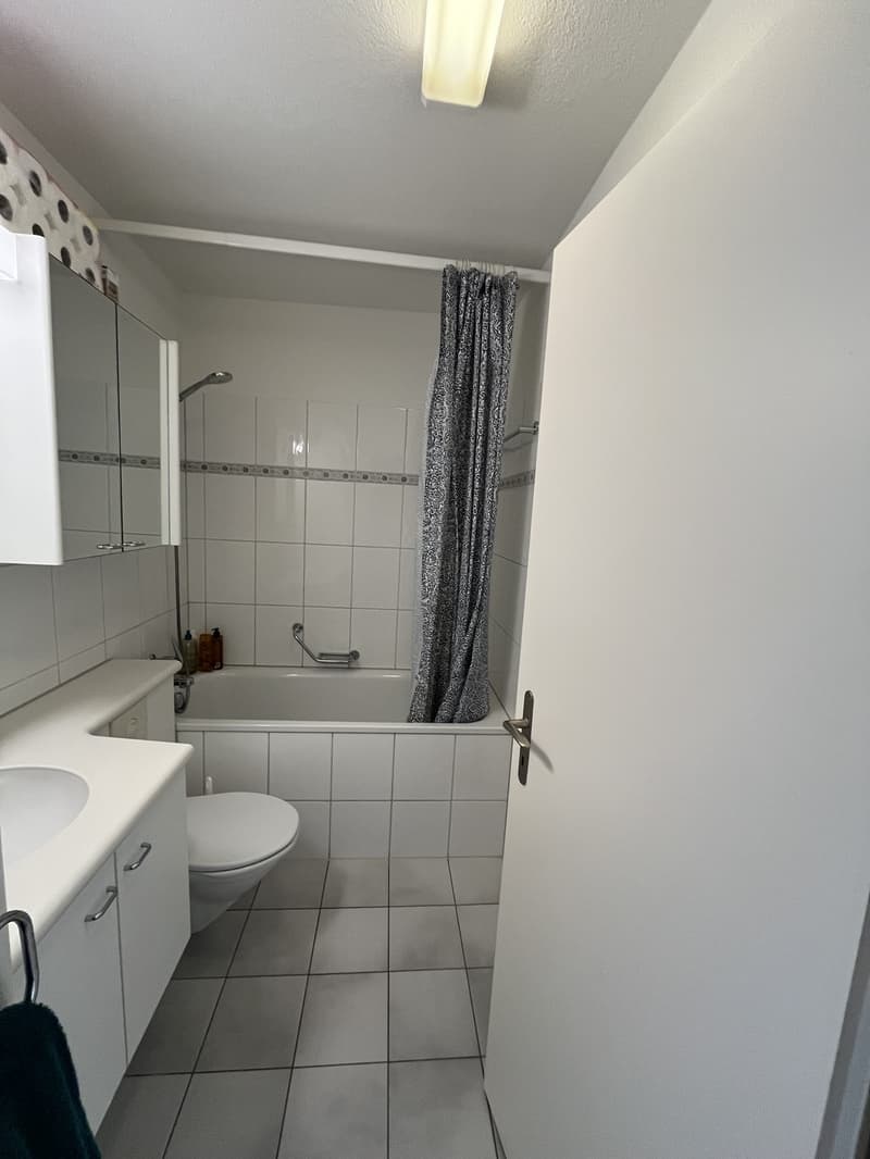 3.5 Zimmer-Wohnung mit Gartensitzplatz in Horgen (8)