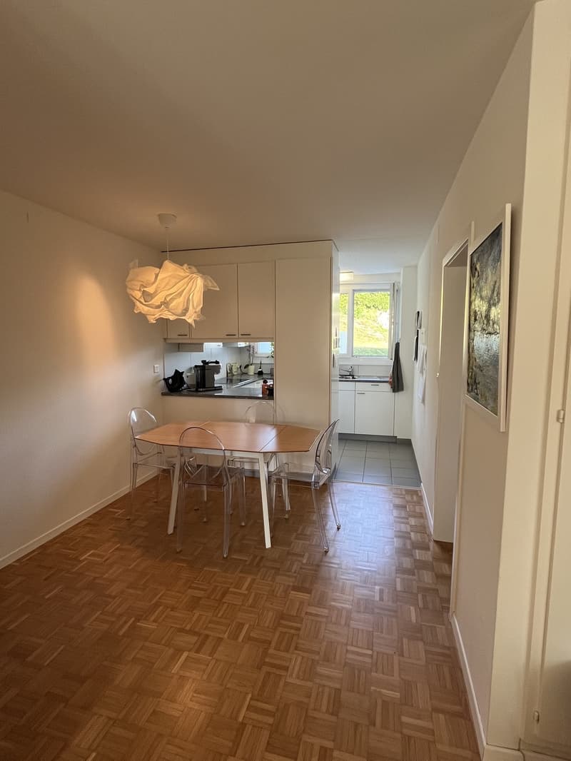 3.5 Zimmer-Wohnung mit Gartensitzplatz in Horgen (4)