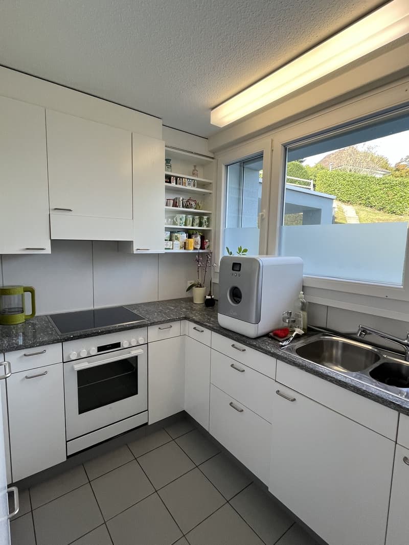 3.5 Zimmer-Wohnung mit Gartensitzplatz in Horgen (7)