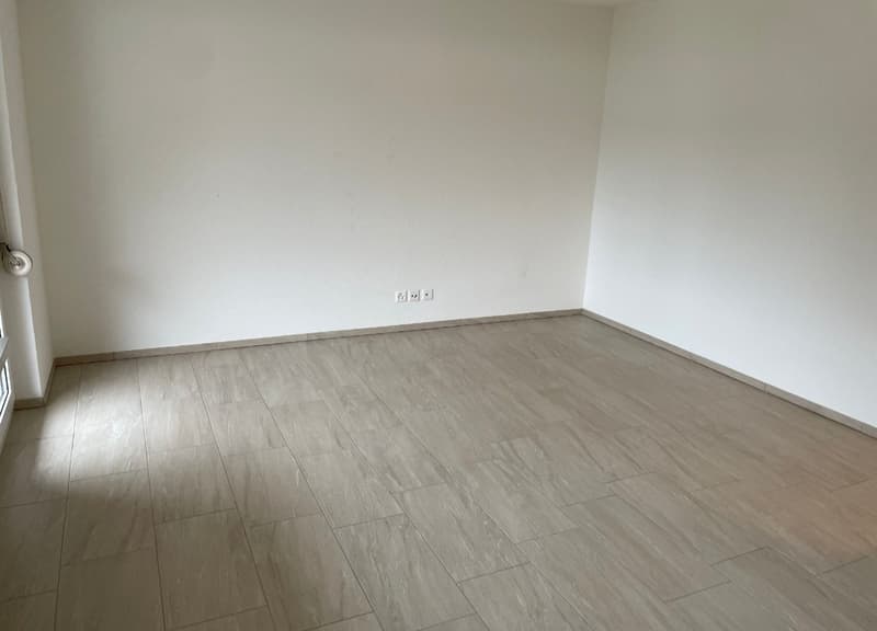 Wohnung 1 Zimmer (3)