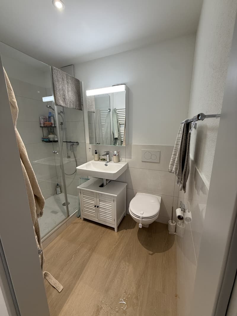 Bright 2.5-Room Apartment on 2nd Floor; Eichstrasse 2, 8610 Uster (6)