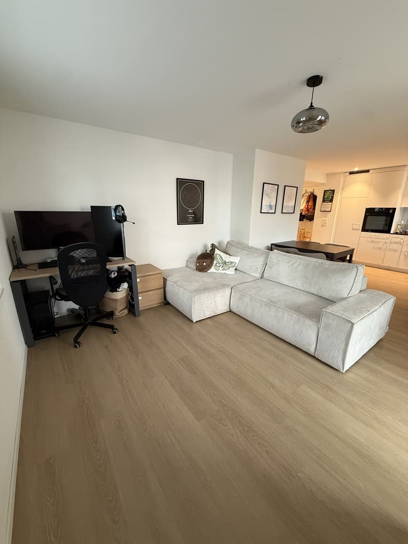 Bright 2.5-Room Apartment on 2nd Floor; Eichstrasse 2, 8610 Uster (2)
