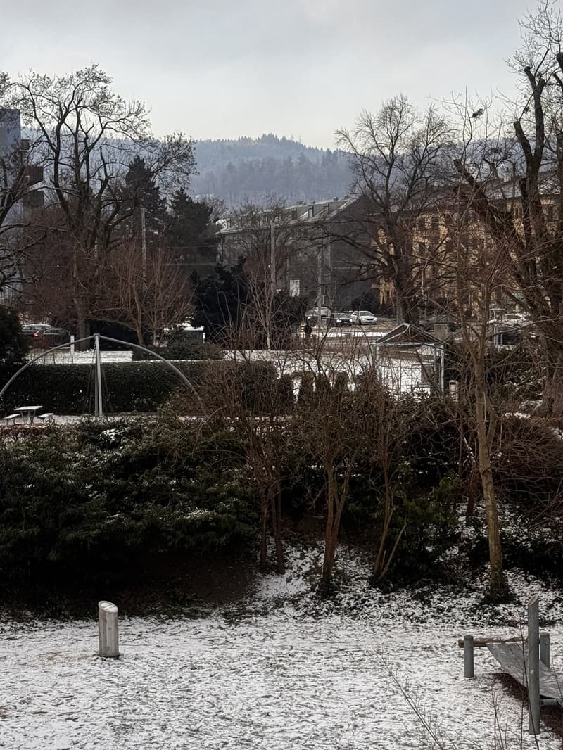 Bright 3.5-room apartment with 19 m² covered terrace in Altstetten (8)