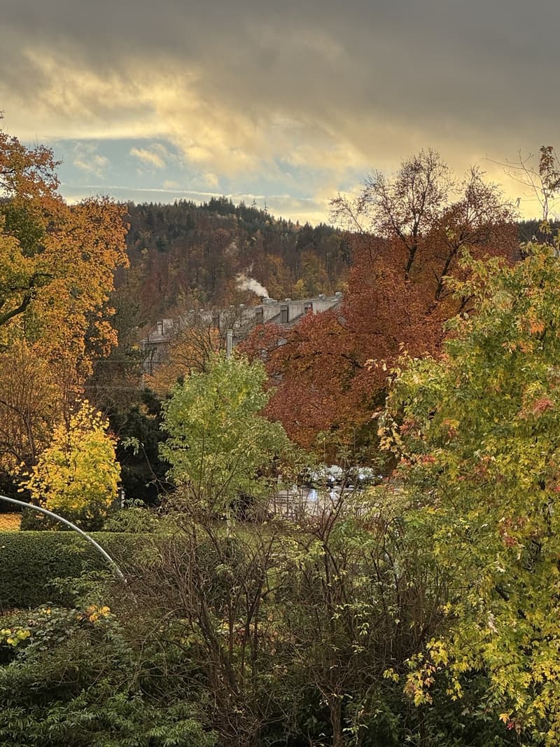 Bright 3.5-room apartment with 19 m² covered terrace in Altstetten (2)