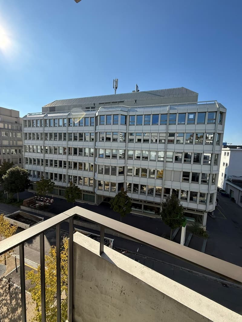 Nachmieter ab dem 1. November 2026 für meine 2.5-Zimmer-Wohnung gesucht (5)