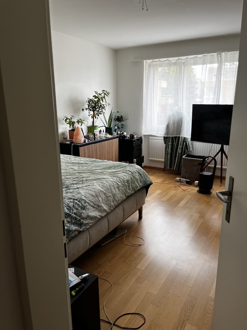 WG Zimmer (6)