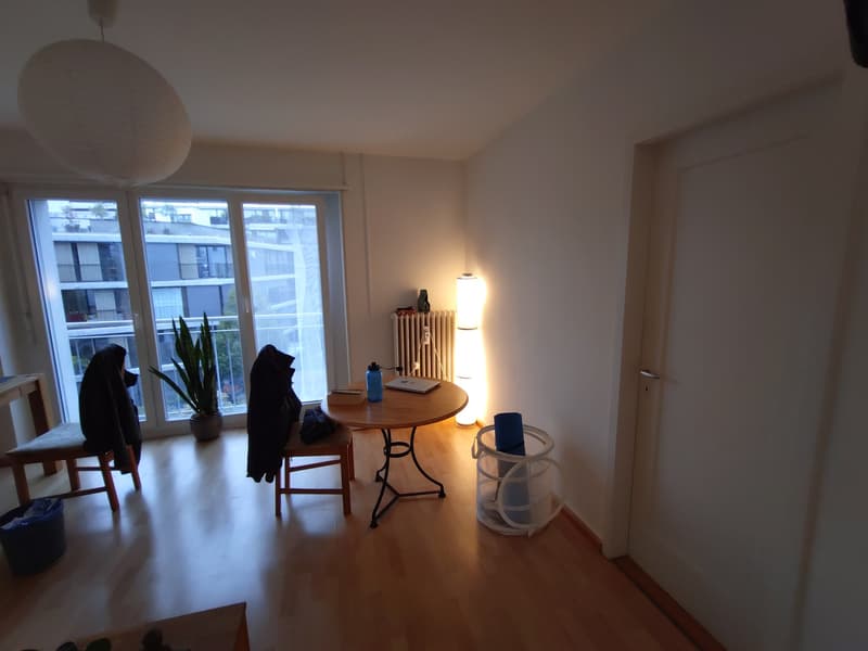 1 Zimmer-Wohung (2)