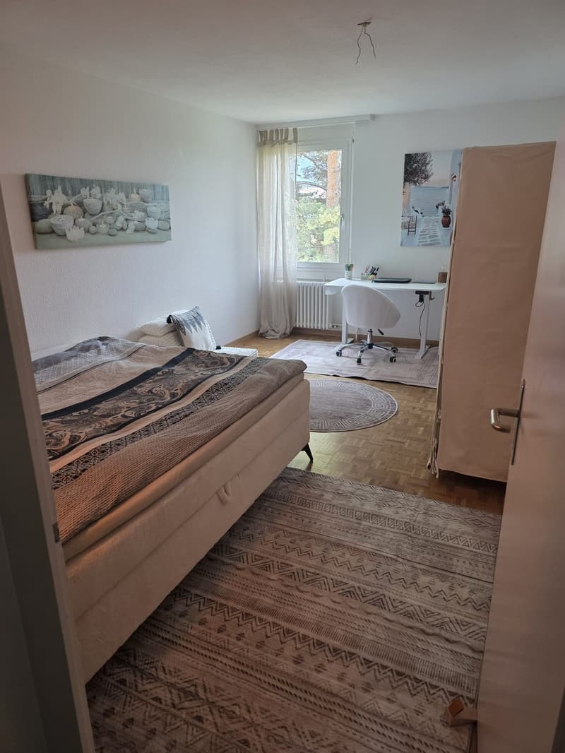 Seenah wohnen im Gwatt - gemütliche Wohnung mit Balkon (6)