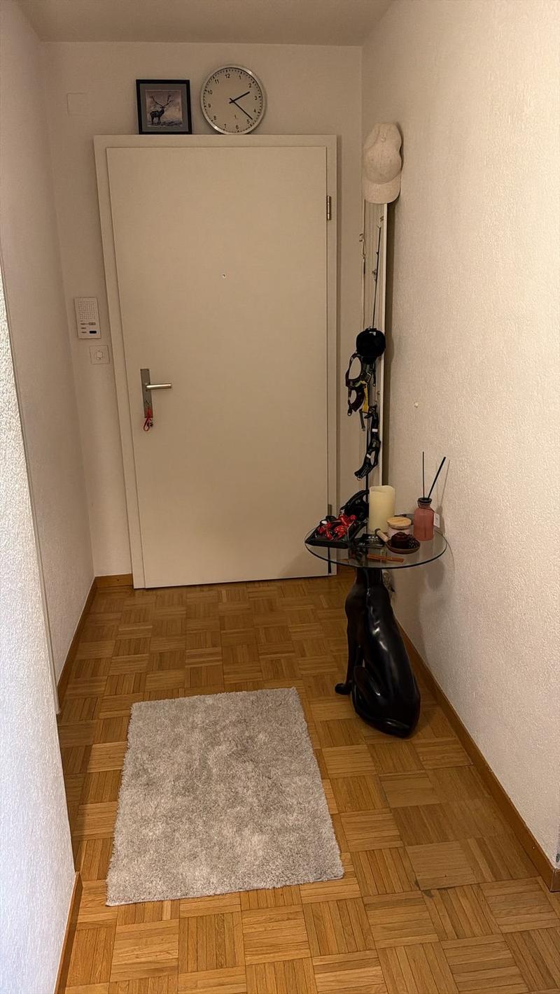 Nachmieter für 4 Zimmer-Wohnung in Oberhasli gesucht (7)