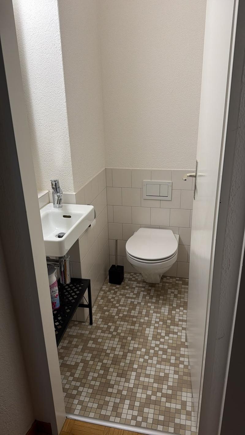 Nachmieter für 4 Zimmer-Wohnung in Oberhasli gesucht (8)