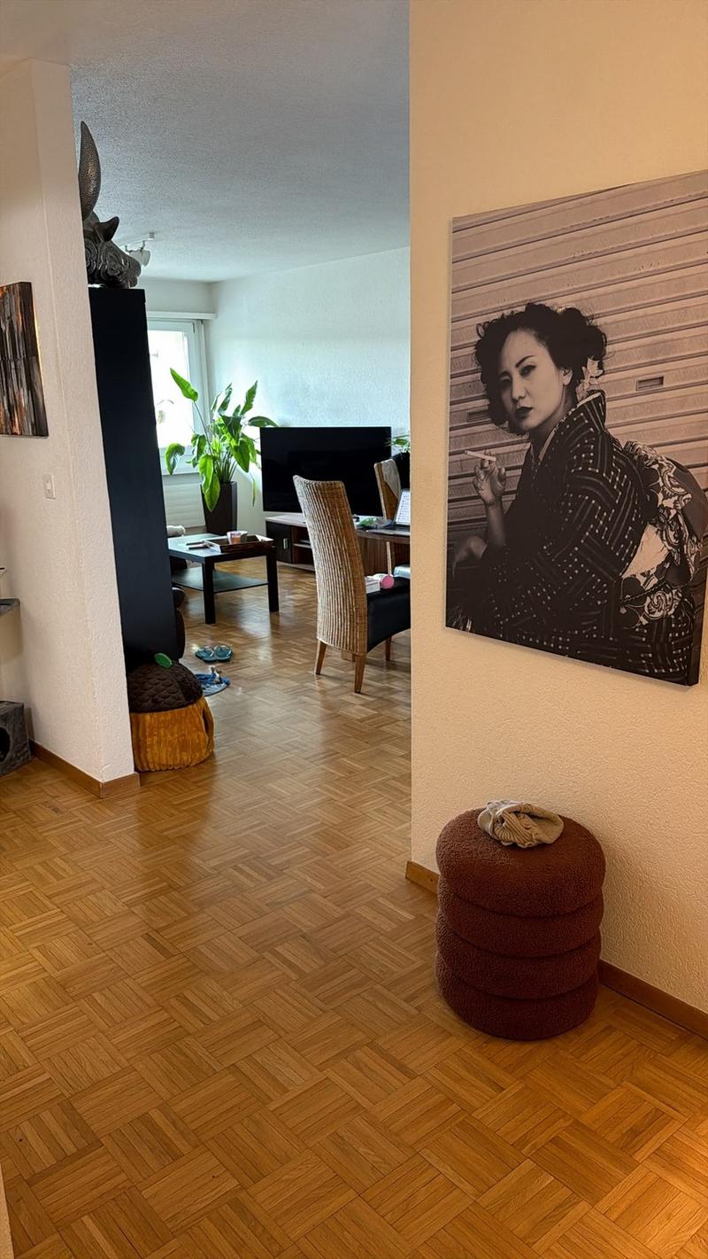 Nachmieter für 4 Zimmer-Wohnung in Oberhasli gesucht (5)