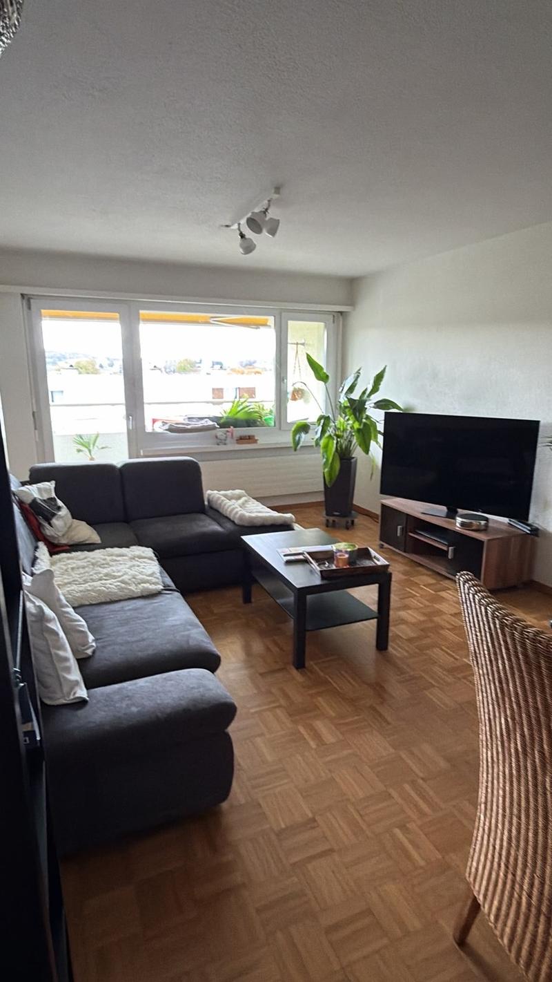 Nachmieter für 4 Zimmer-Wohnung in Oberhasli gesucht (1)