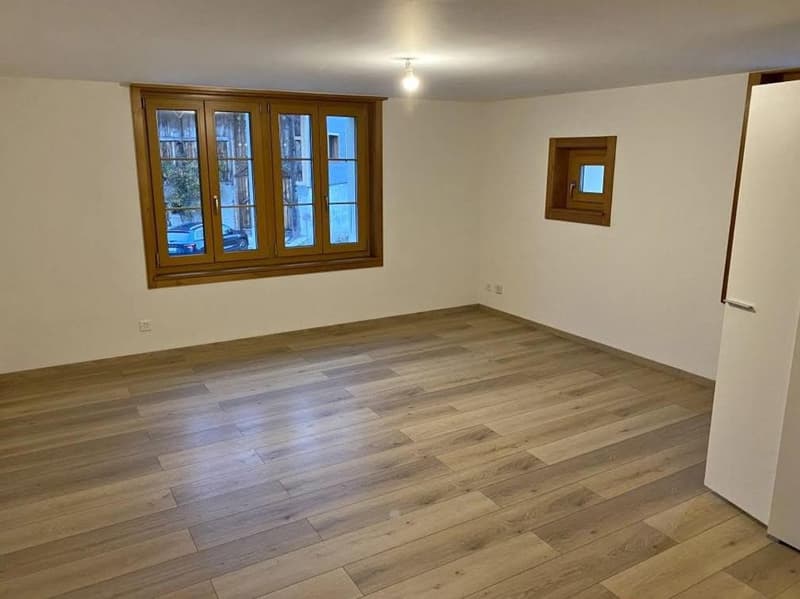STUDIO À LOUER À BROC (FR) 920 CHF/mois DISPONIBLE DÈS LE 16 NOVEMBRE 2026 (4)