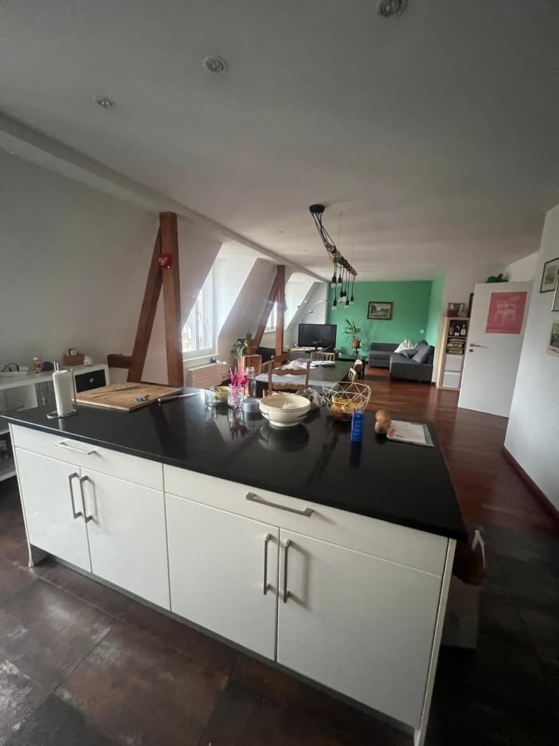 Amazing room available in Zürich Wiedikon looking for a new flatmate ASAP! (7)
