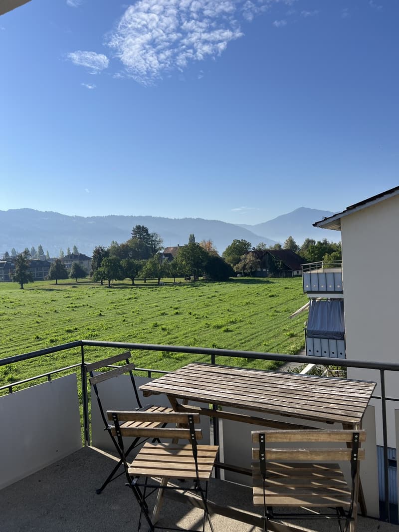 2-Zimmer-Wohnung in Zug  Fixübernahme inkl. kompletter Einrichtung (4)